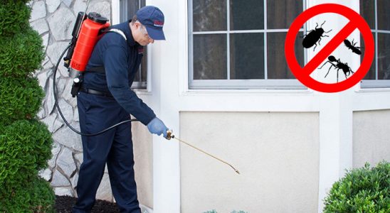 Akıncılar Böcek ve Haşere İlaçlama böcek ilaçlama ve haşere kontrolü — ilaclama-tr.com